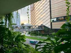 Park Place Residences At Plq (D14), Apartment #593085371